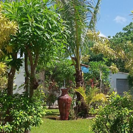 Mem Homestay チュンポーン エクステリア 写真
