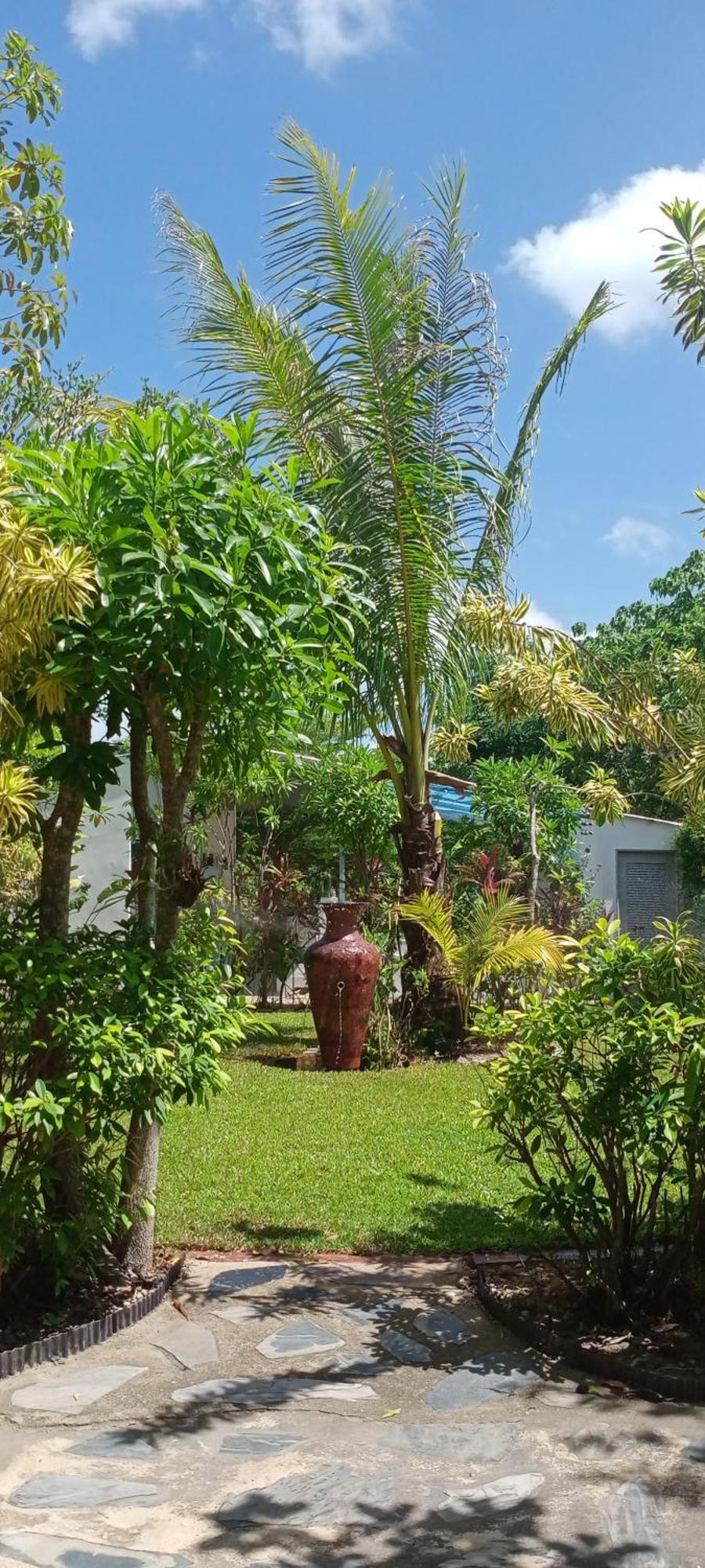 Mem Homestay チュンポーン エクステリア 写真